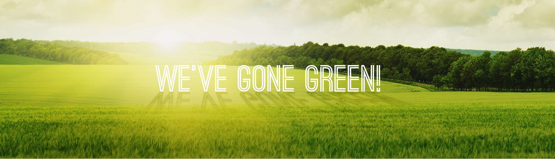 We have gone green